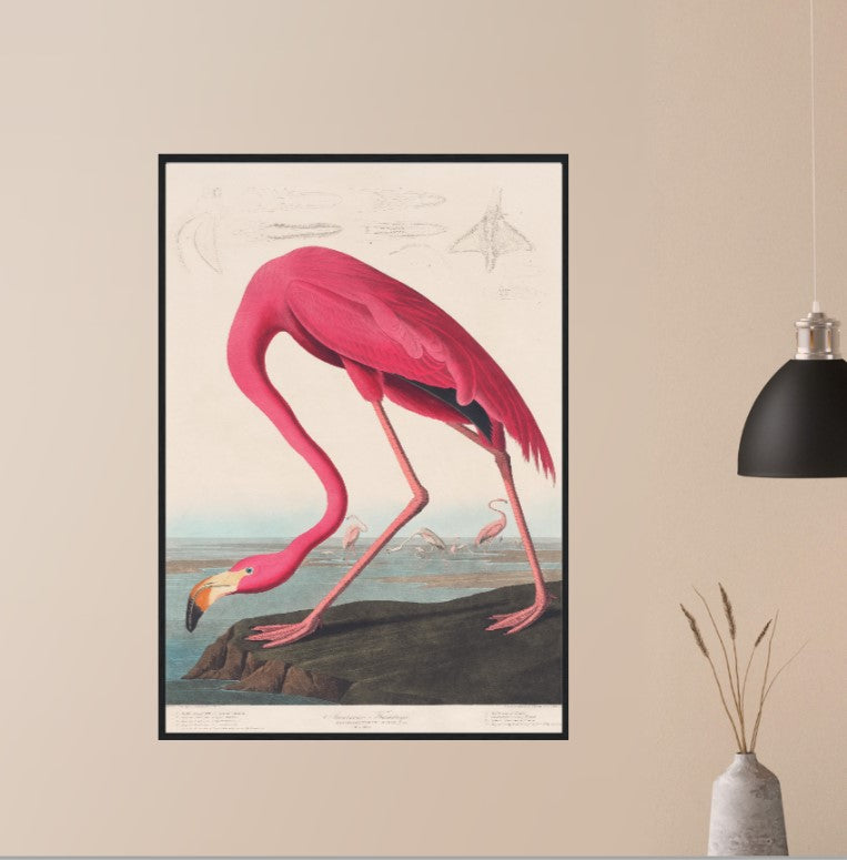 FLAMINGO